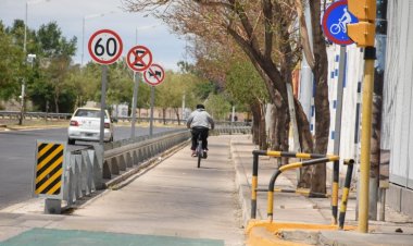 Día de la Seguridad Vial: las 7 recomendaciones para reducir riesgos