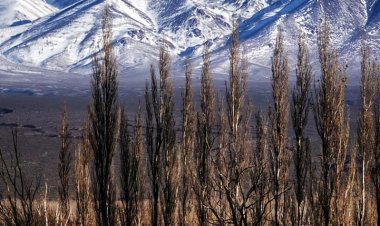 INVIERNO en San Juan: con mínimas bajo cero y aire polar