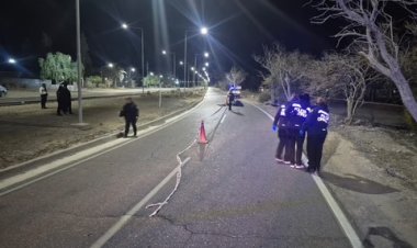 Un motociclista muere al chocar con un árbol en la madrugada de hoy en Rivadavia