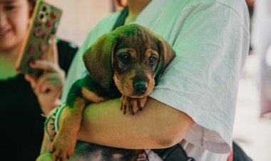 Rivadavia recibirá un operativo integral de tenencia responsable de mascotas