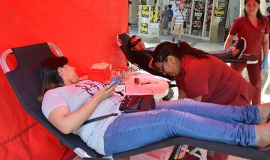 Se realizará una Colecta Voluntaria de Sangre en el Parque de Mayo