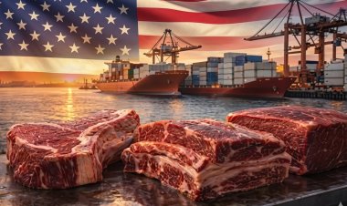 Creció un 369% la venta de carne argentina a los Estados Unidos