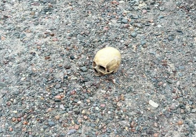 Encontraron un cráneo humano en Punta Negra: qué se sabe