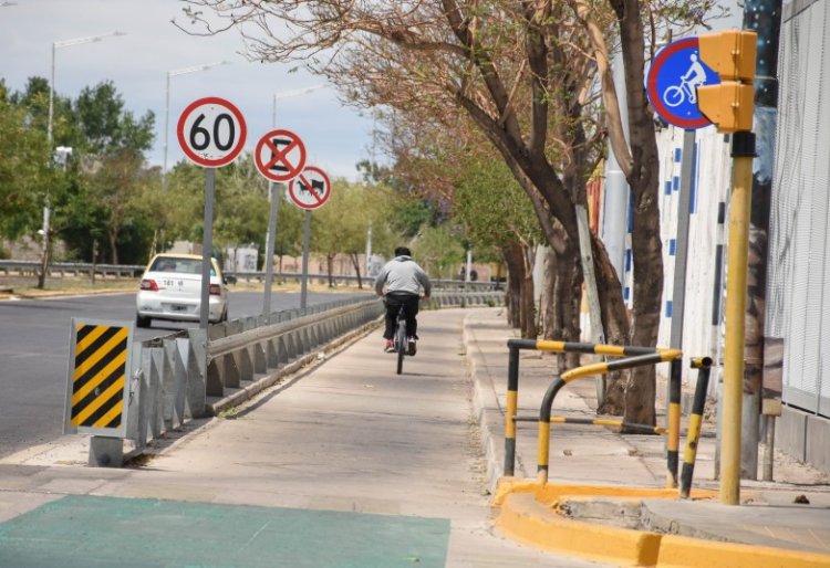 Día de la Seguridad Vial: las 7 recomendaciones para reducir riesgos