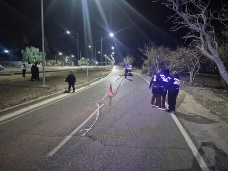 Un motociclista muere al chocar con un árbol en la madrugada de hoy en Rivadavia