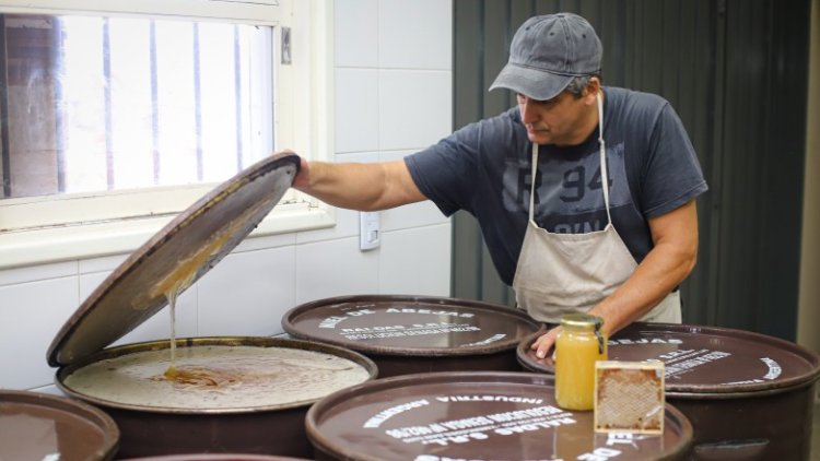 La XIV Semana de la Miel Sanjuanina tendrá una agenda completa de actividades