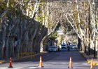Continúan los trabajos de poda en Capital