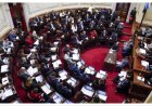 Patricia Bullrich pidió el cuarto intermedio y el Gobierno no pudo avanzar con la Ley de Tierras