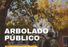 La Ciudad continúa con las tareas de poda y mantenimiento del arbolado público