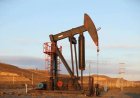 El agro, la minería y la energía aportarían divisas récord por US$57.200 millones en 2026