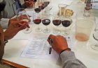 El Concurso Nacional de Vinos Cata San Juan presenta una nueva edición en La Rural