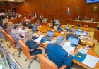 Diputados aprobaron un convenio entre el Ministerio de Familia y Desarrollo Humano y el Colegio Médico