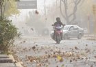 Alerta amarilla por viento zonda