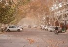 Como será la actividad escolar este lunes en San Juan por el Zonda
