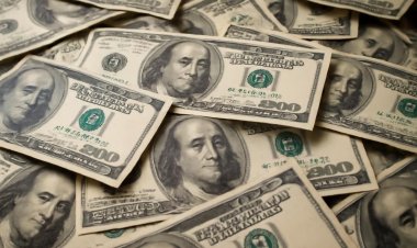 El dólar frenó las subas luego de cinco jornadas consecutivas