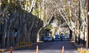 Continúan los trabajos de poda en Capital