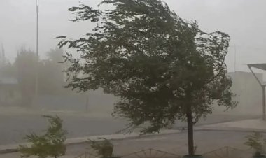 Nevadas, viento blanco y Zonda para San Juan