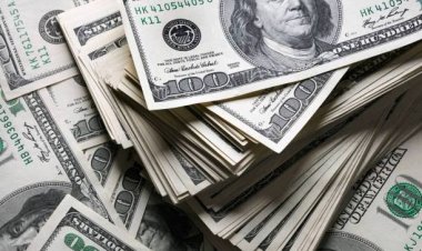 El dólar no da tregua, volvió a subir