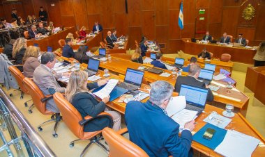Diputados aprobaron un convenio entre el Ministerio de Familia y Desarrollo Humano y el Colegio Médico
