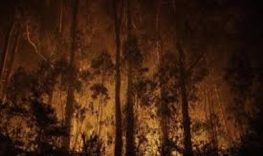 España no logra controlar los incendios forestales