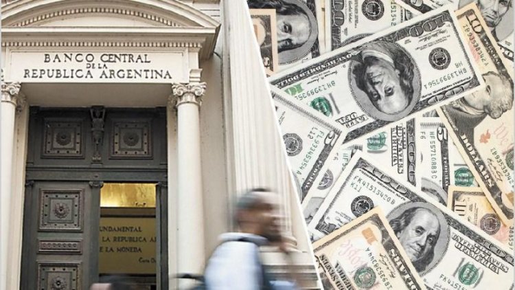 El Banco Central compró más de 200 millones de dólares para las reservas