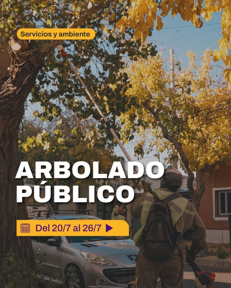 La Ciudad continúa con las tareas de poda