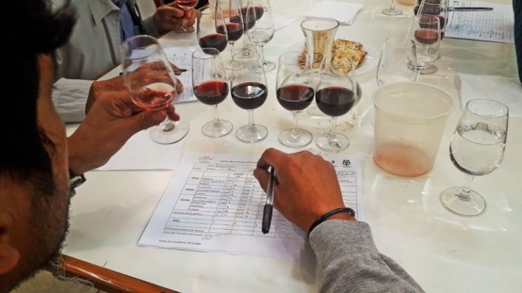 El Concurso Nacional de Vinos Cata San Juan presenta una nueva edición en La Rural