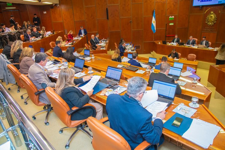Diputados aprobaron un convenio entre el Ministerio de Familia y Desarrollo Humano y el Colegio Médico