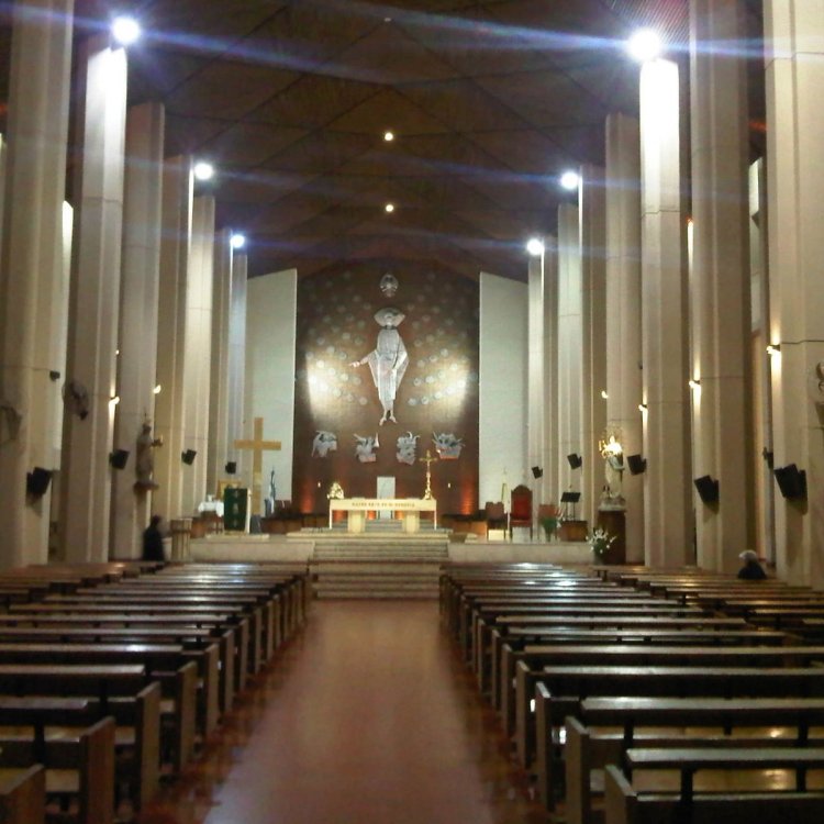 Confirman que el velorio de los cuatro sanjuaninos fallecidos en la tragedia aérea se hará en la Catedral