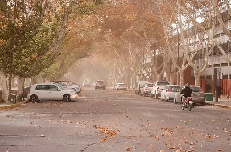 Alerta amarilla por la llegada de viento zonda para mañana viernes
