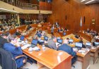 Seguí en vivo la Segunda Sesión Especial: Acuerdo con Vicuña