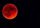 La Luna se teñirá de rojo: cuándo será el eclipse visible desde Argentina