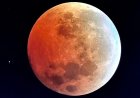 Eclipse lunar en Argentina: a qué hora se verá la "Luna Roja" y cómo observarla