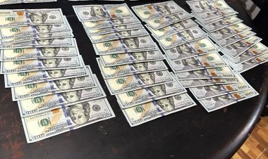 Investigación policial permitió avanzar en el esclarecimiento de un robo en Concepción