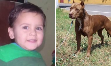 Imputaron a la dueña del pitbull que mató al niño en la provincia de Córdoba