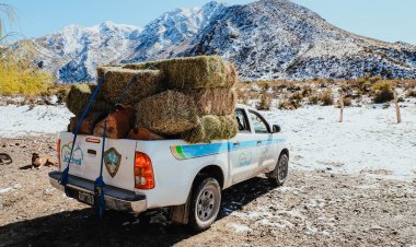 El Municipio de Jáchal realizó un nuevo operativo de asistencia a familias de puestos de la zona