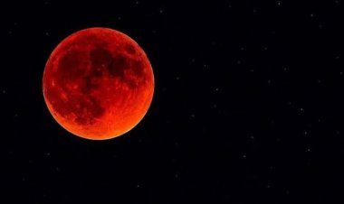 La Luna se teñirá de rojo: cuándo será el eclipse visible desde Argentina