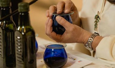 San Juan será sede del XV Encuentro Olivícola Internacional Argoliva 2026