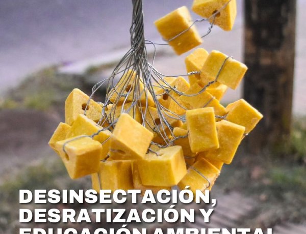 La Ciudad continúa con el cronograma de desratización en distintos sectores de Capital