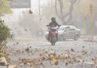 Alerta amarilla por la llegada de viento Zonda en San Juan