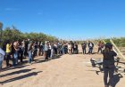 100 empresas de distintas provincias se sumaron a la Jornada a Campo de ArgOliva