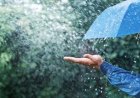 Alertas naranja y amarilla por tormentas, vientos fuertes y nevadas en 11 provincias