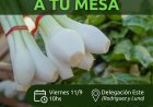Chimbas realizará una nueva edición de la Feria Agroproductiva “De la Chacra a tu Mesa”