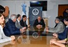 San Juan relevará y protegerá sus árboles de valor patrimonial