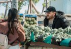 Se viene la Fiesta del Espárrago y el Alcaucil, con un risotto gigante, gastronomía, concursos y una gran propuesta artística