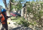 Chimbas desplegó personal de Servicios ante las consecuencias del viento Zonda