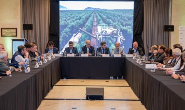 San Juan fue sede de una nueva Mesa Olivícola Nacional en el marco de ArgOliva 2026