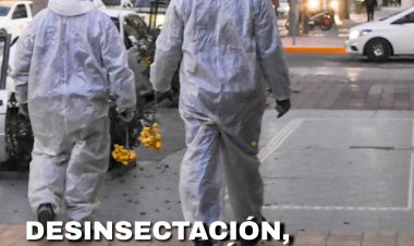La Ciudad continúa con el cronograma de desinsectación y desratización
