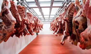 El consumo de carne vacuna cayó a su nivel más bajo en dos años