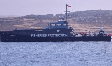 Denunciaron por contrabando a pesqueras con licencias británicas que operan en las Islas Malvinas